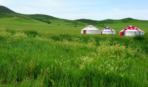 �羳�����������ɹ�ũ��Ʒ�߳�����