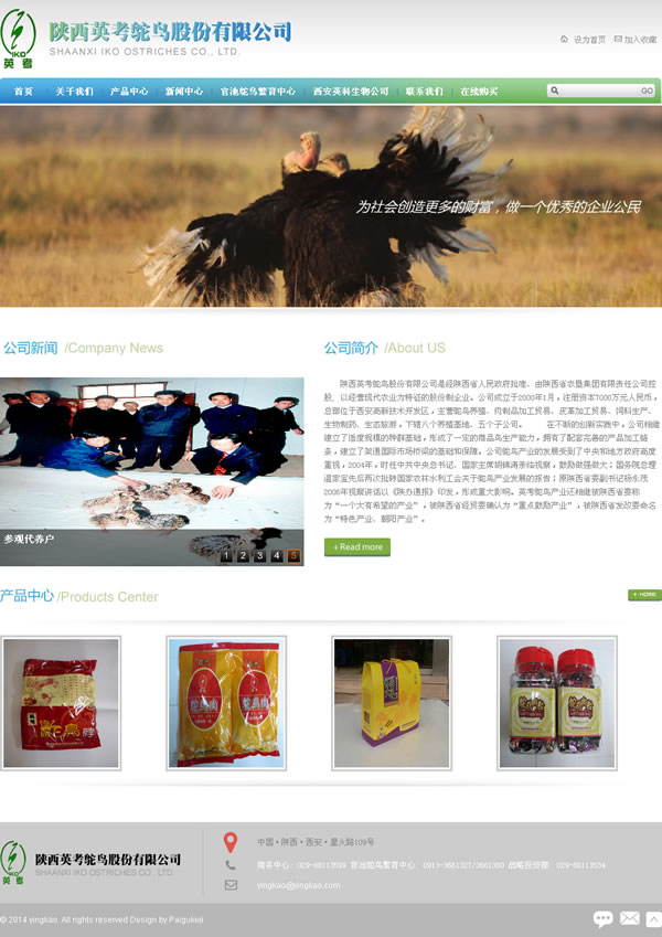 ����Ӣ������ɷ����޹�˾